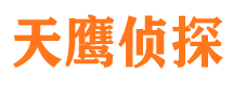 浦江侦探公司